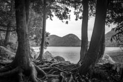 IMG_7188-Enhanced-NR