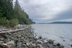 Shore by Walker Hook Road