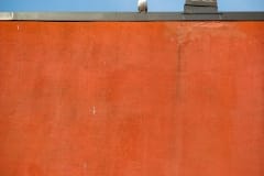 Gull Guardian